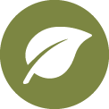 Icon Maisfaser