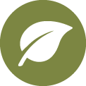Icon Tencel