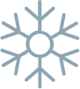 Icon Winter